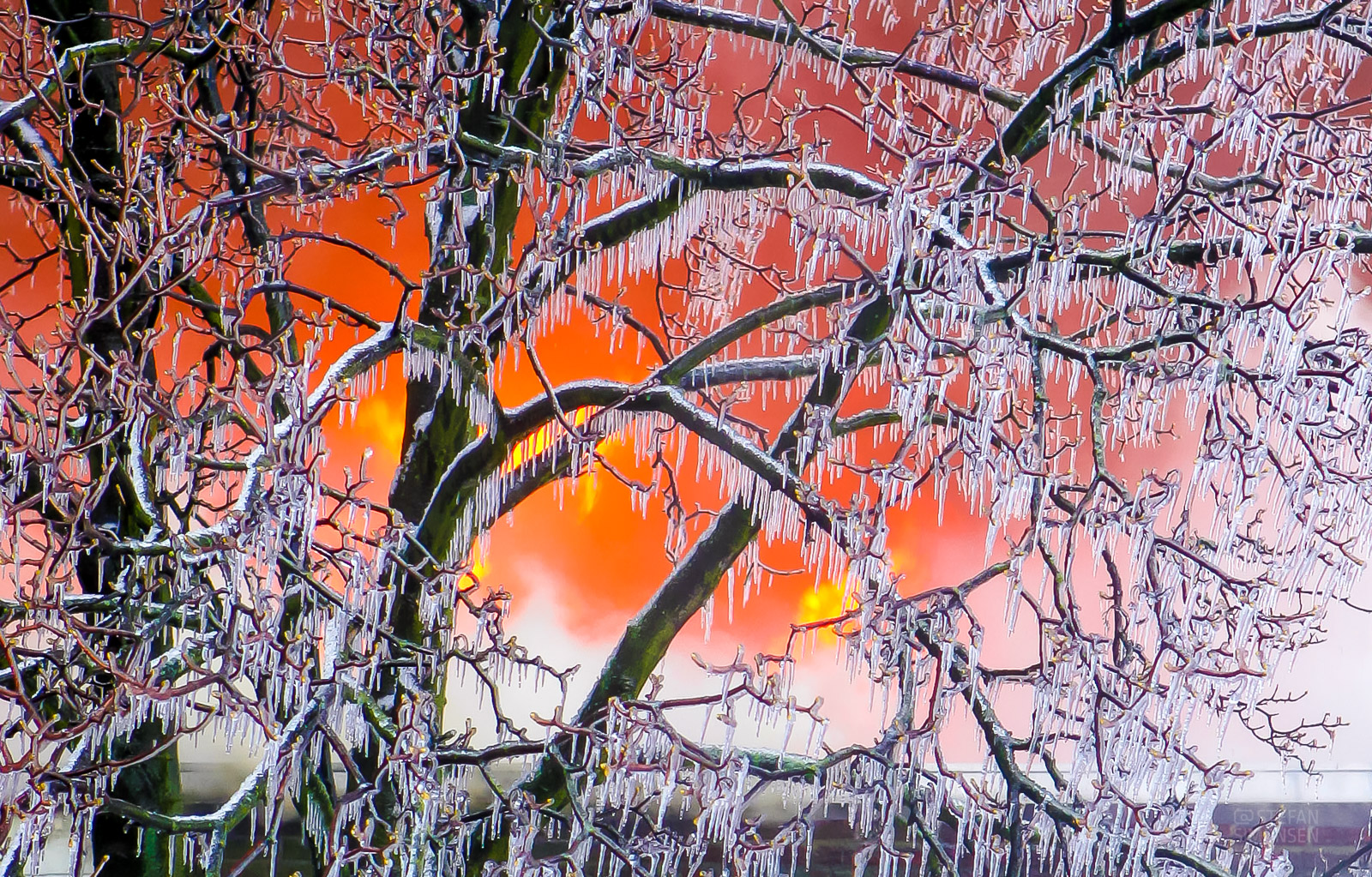 Flammen lodern hinter einem, durch Löschwasser vereisten, Baum (Foto: n112.de/Stefan Hillen)